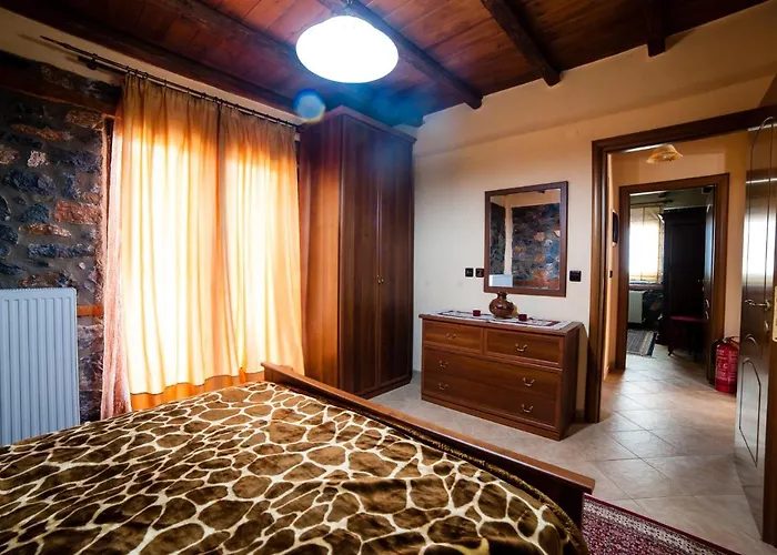 Eva 帕雷斯阿吉萨那