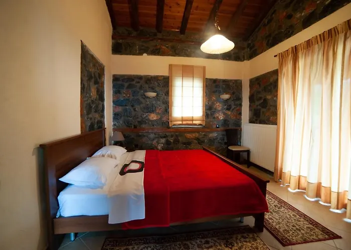 Eva 帕雷斯阿吉萨那